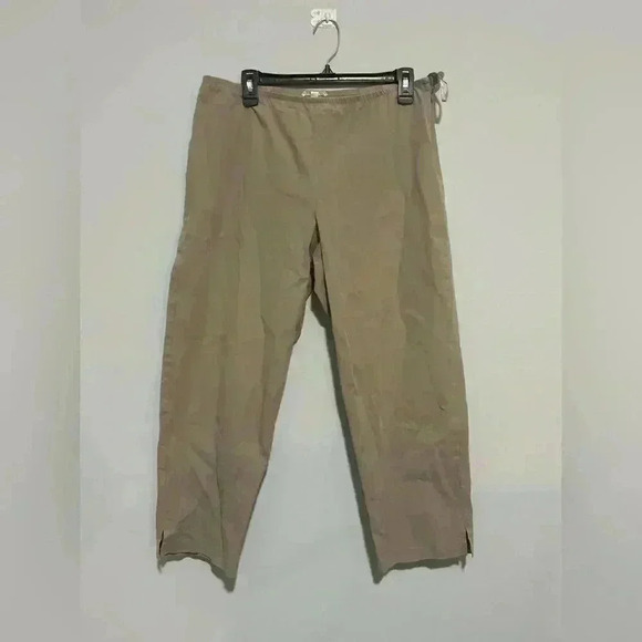 EILEEN FISHER Womens Pull On Pants Brown Size PL Side Zipper Elastic Waist - Picture 1 of 5